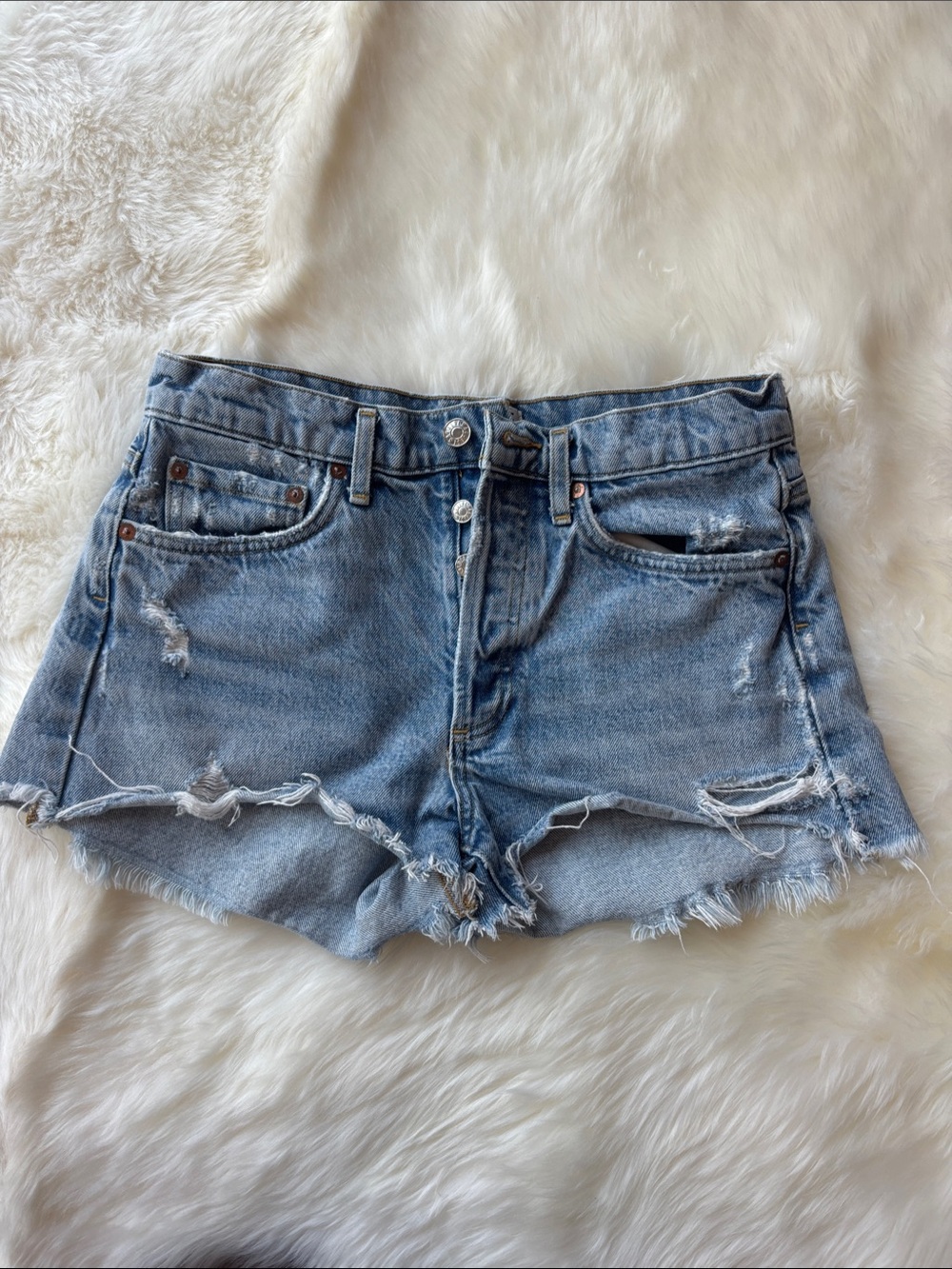 Vintage AGOLDE Parker Cut Off Shorts